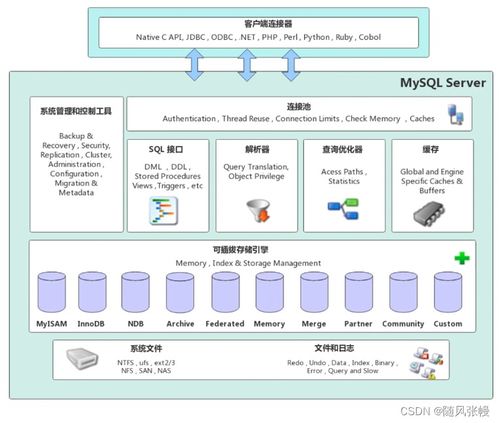 MySQL數據庫基礎與數據處理服務入門